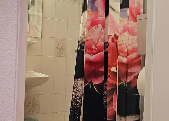 Hotel Coerona Lourdes